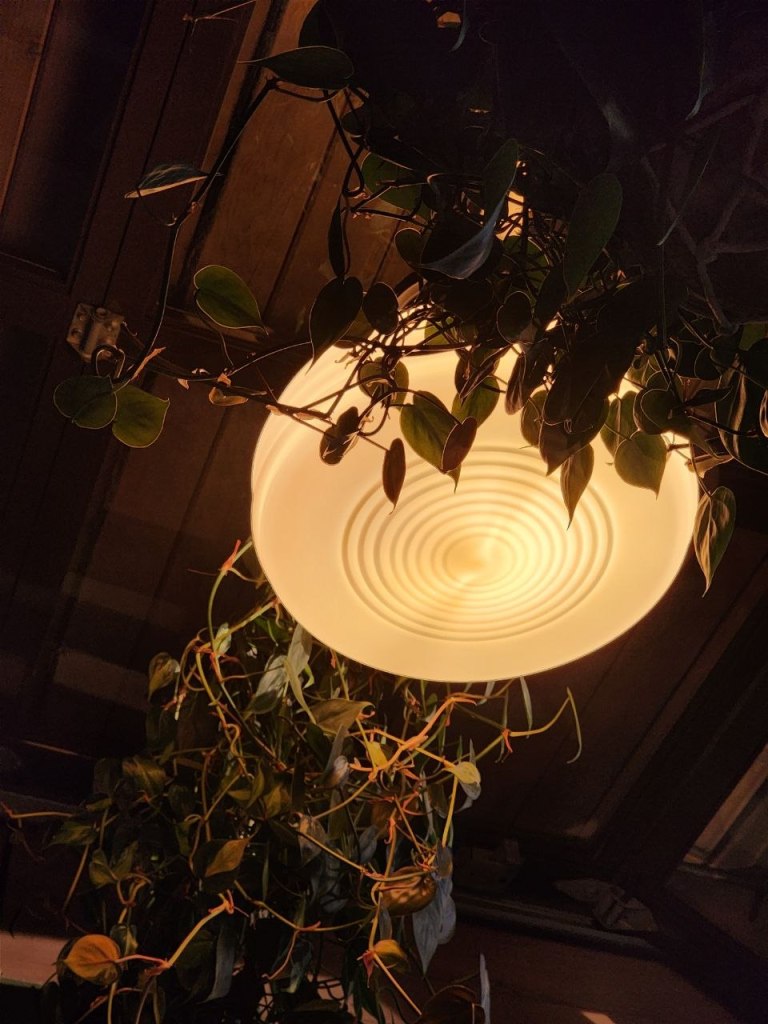 The Lamp